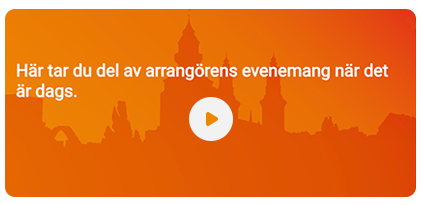 Bild på Almedalens webbsändning av SND:s panelsamtal