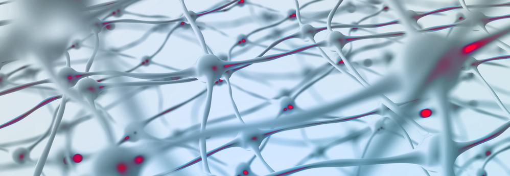 Illustration av nervkopplingar i hjärnan.